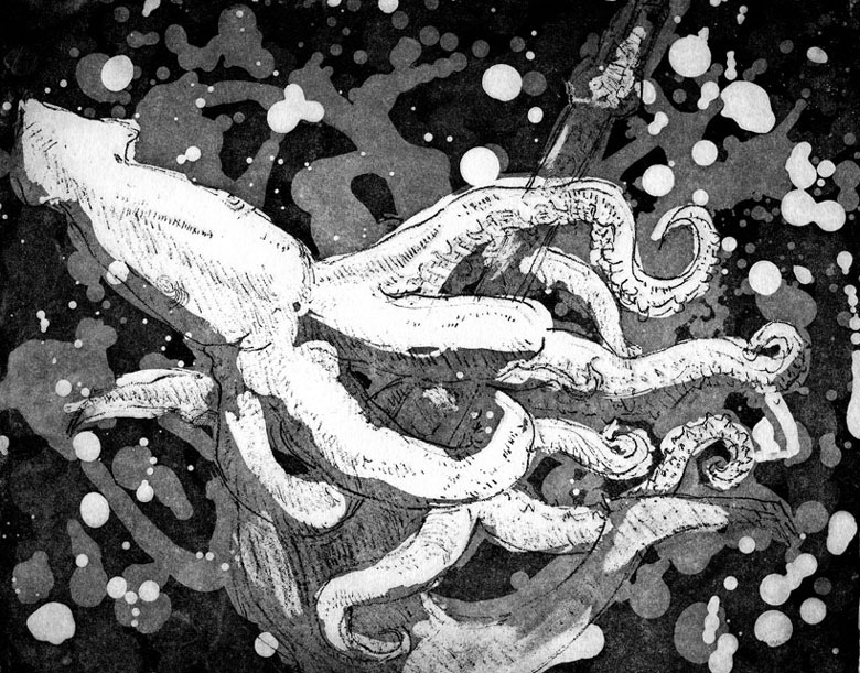 Pieuvre, gravure de Hyacinthus (Yacine Gouaref)