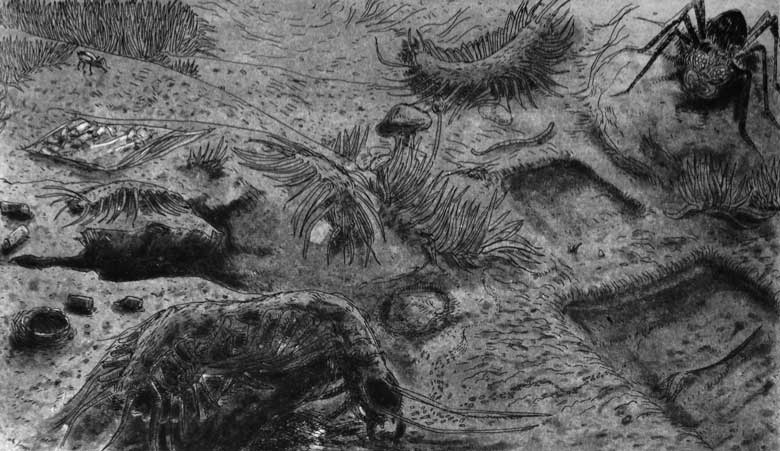 Exode, gravure de Hyacinthus (Yacine Gouaref)